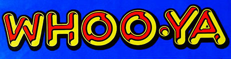 94.7 KMET Whooya Bumper sticker